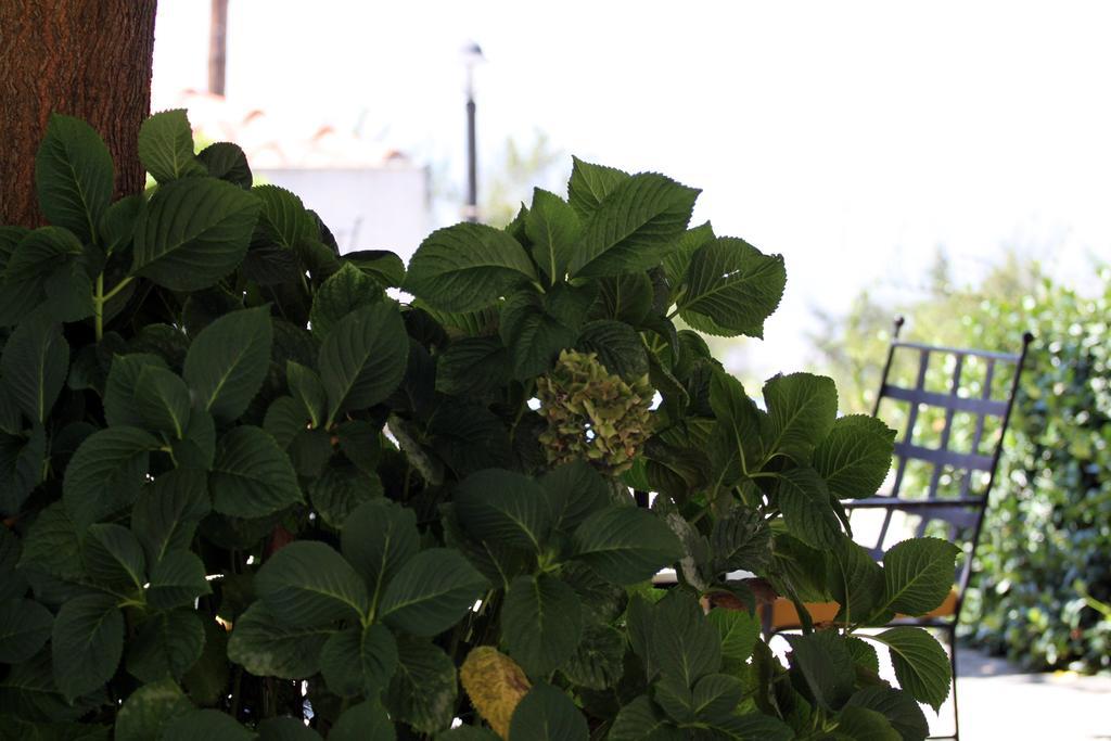 Guesthouse Kolenti ポルタリア エクステリア 写真